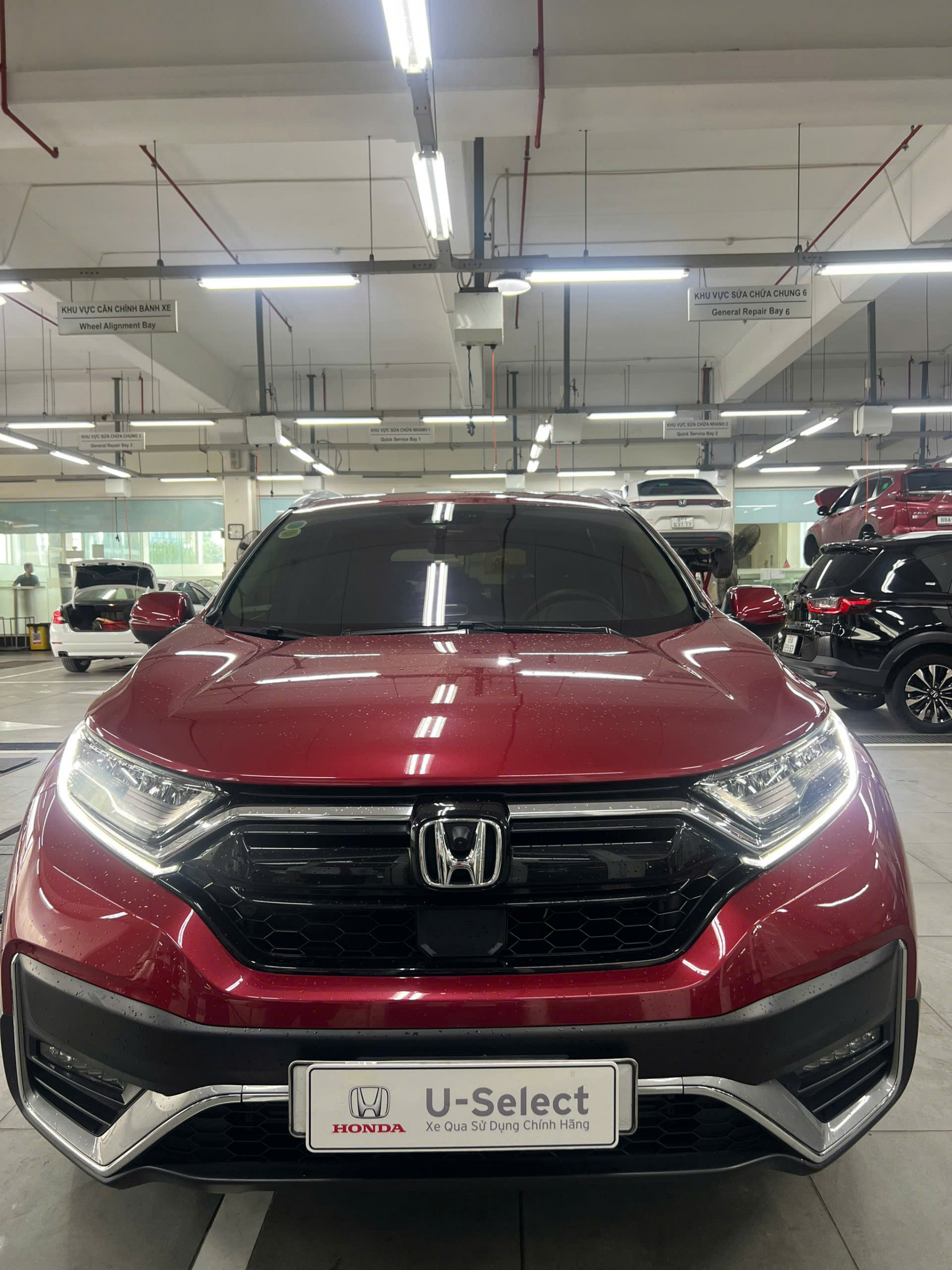 Honda CRV L Đỏ 2021